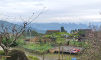 Le village Xa Phin à Hà Giang