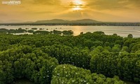 La zone écologique de Côn Chim - le joyau vert de Binh Dinh