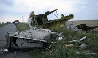 No one allowed to use MH17 tragedy for political purposes