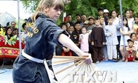 International festival of traditional Vietnamese martial arts held