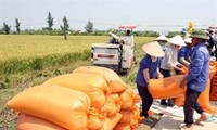 Vietnam, Ireland cooperate in agriculture