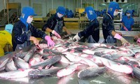  Forum on Vietnam catfish exports to EU opens in Brussels