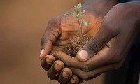UN agrees on sustainable development plan