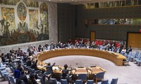 UN Security Council hails youth’s role in peace processes