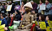 US applauds Japan-RoK agreement to compensate WW2 sex slaves