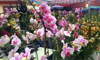 Hang Luoc Flower Market in Hanoi's Old Quarter
