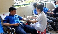 Hundreds of blood units collected in the Voluntary Blood Donation Day