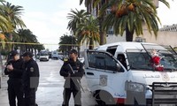 Tunisia eliminates an IS logistics supplier 
