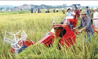Japan to introduce investment opportunities in Vietnam’s agriculture