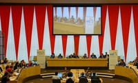 Vietnam attends UN policy integration discussions