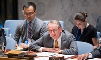 UN Security Council stresses need to counter IS and Al-Qaeda