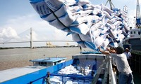 Vietnam’s rice exports to Malaysia skyrocket