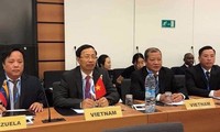 Vietnam, US boost customs cooperation