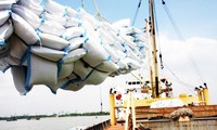  Vietnam likely to become world’s biggest rice exporters in 2020 