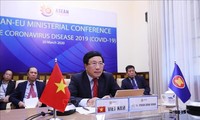 Vietnam’s joining ASEAN one of its most important milestones: Deputy PM