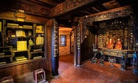 Exploring the Museum of Traditional Vietnamese Medicine