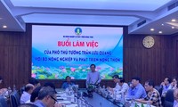 Vietnam to  grow one million hectares of low-emission high-quality rice