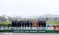 Vietnam actively contributes to ASEAN's growth