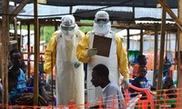 ສປຊ ຈະ“ສວມບົດບາດ ທີ່ແຮງກ່ວາ“ ເພື່ອ ດັບສູນໂລກລະບາດ Ebola