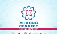 Mekong Connect CEO Forum ຈະຖືກໄຂຂຶ້ນ ໃນວັນທີ 04/09/2015