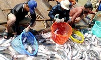 Zucht von Meeresfrüchten und Produkten aus Aquakulturen in Vietnam