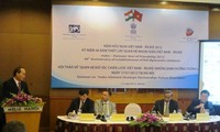 Seminar: Die strategische Partnerschaft zwischen Vietnam und Indien