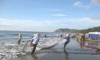 Das Alltagsleben der Fischer am Strand von Hai Hoa in der Provinz Thanh Hoa