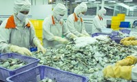 Vietnam: Überprüfungsgruppe zur Anklage gegen Garnelen-Dumpingpreis