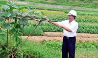 Effektivität der vierseitigen Kooperation in Quang Yen