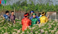 Jugendliche in Hanoi machen Fotos in Frühlingsgärten