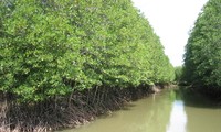 Weltbank unterstützt Vietnam beim Kampf gegen den Klimawandel