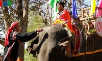 Das Elefanten-Fest im Dorf Don