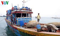 Vietnam: China muss die Beschädigung des Lebens und Vermögens der vietnamesischen Fischer stoppen