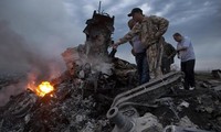 Ein malaysisches Flugzeug mit rund 300 Menschen ist in Ostukraine abgestürzt
