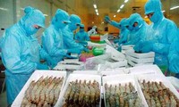 Der vietnamesische Garnelen-Export erreicht positives Wachstum
