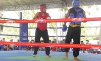 Abschluss der Kungfu-Meisterschaft in Binh Dinh