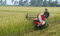Zusammenlegung der Felder in der Provinz Bac Ninh
