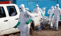 Ebola-Epidemie verhindern: schwierige Aufgabe