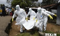 Noch langer Weg bis zur Eindämmung der Ebola-Epidemie
