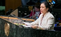 Vietnam respektiert Ziele und Prinzipien der UN-Charta 