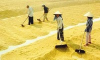Vize-Premierminister Hoang Trung Hai zur Änderung des Handels der landwirtschaftlichen Produkte