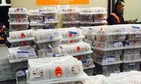 Vietnam exportiert dutzende Tonnen von Litschi nach Australien