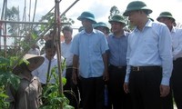 Vize-Premierminister Vu Van Ninh besucht Provinz Thai Binh