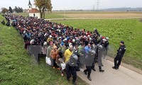 Europa strengt sich bei der Lösung der Flüchtlingskrise an