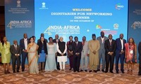 Indien und afrikanische Länder vereinbaren die Verstärkung der Zusammenarbeit