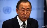 UNO ruft Länder weltweit zur Bekämpfung von Umweltkriminalität auf