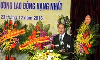 Staatspräsident Tran Dai Quang fordert die Gesundheitsbehörde auf, spezielle Techniken zu entwickeln