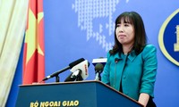 Schutz der Vietnamesen in Malaysia, Japan und Singapur