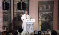 Papst Franziskus ruft zur religiösen Solidarität gegen Terrorismus auf