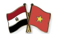Neue Phase in den Beziehungen zwischen Vietnam und Ägypten